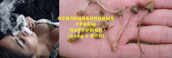 хмурый Абаза