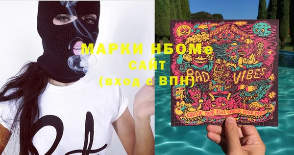 хмурый Абаза