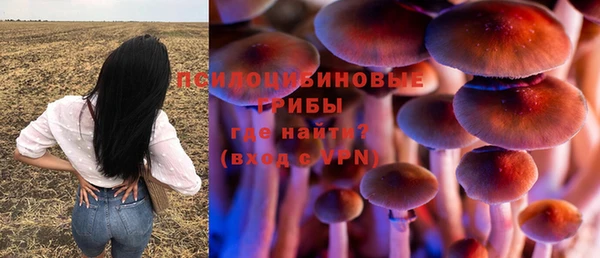 jwh Алзамай