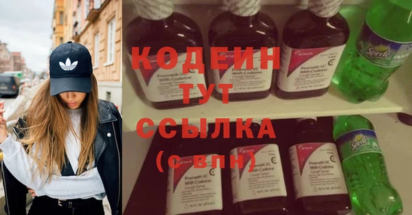 хмурый Абаза