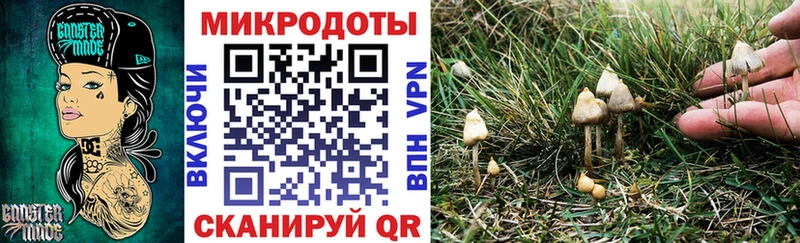 Псилоцибиновые грибы Psilocybine cubensis  KRAKEN tor  Ярославль 