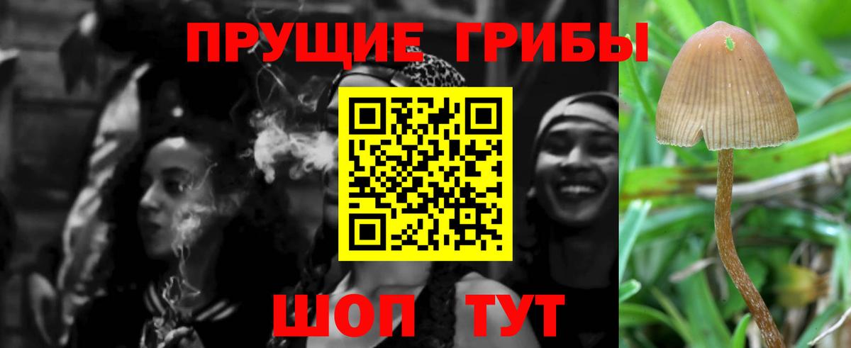 Псилоцибиновые грибы прущие грибы  Вход с VPN  Ярославль 