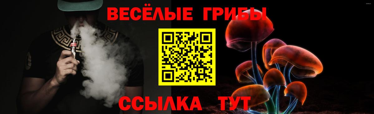 Псилоцибиновые грибы ЛСД Ярославль